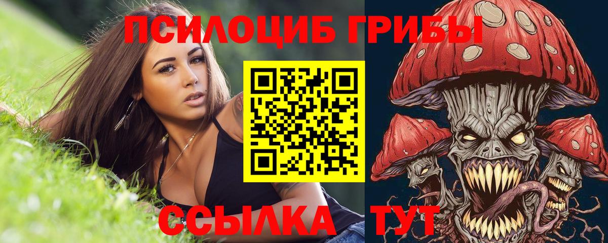 Назрань  Псилоцибиновые грибы Cubensis  купить  цена  Вход с VPN 