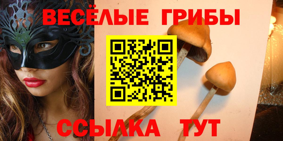 Псилоцибиновые грибы ЛСД Назрань